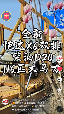 全新愷達(dá)X6柴油雙排，德威D20-116匹大馬力。